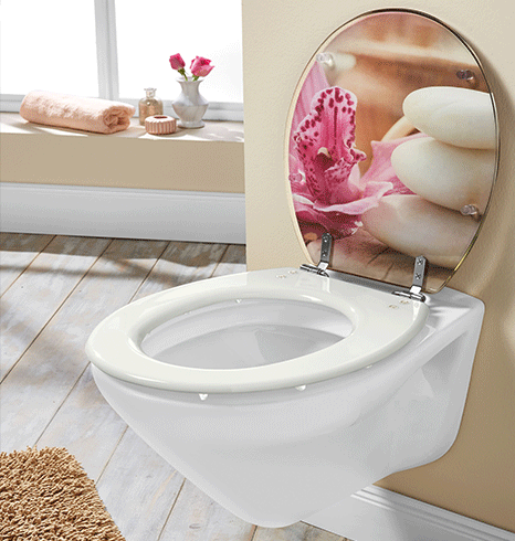 toilet seat1